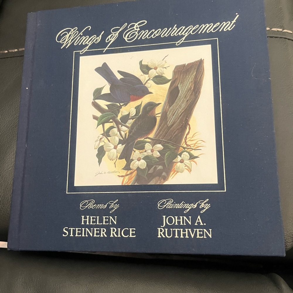 Wings of Encouragement Navy Decorative Book